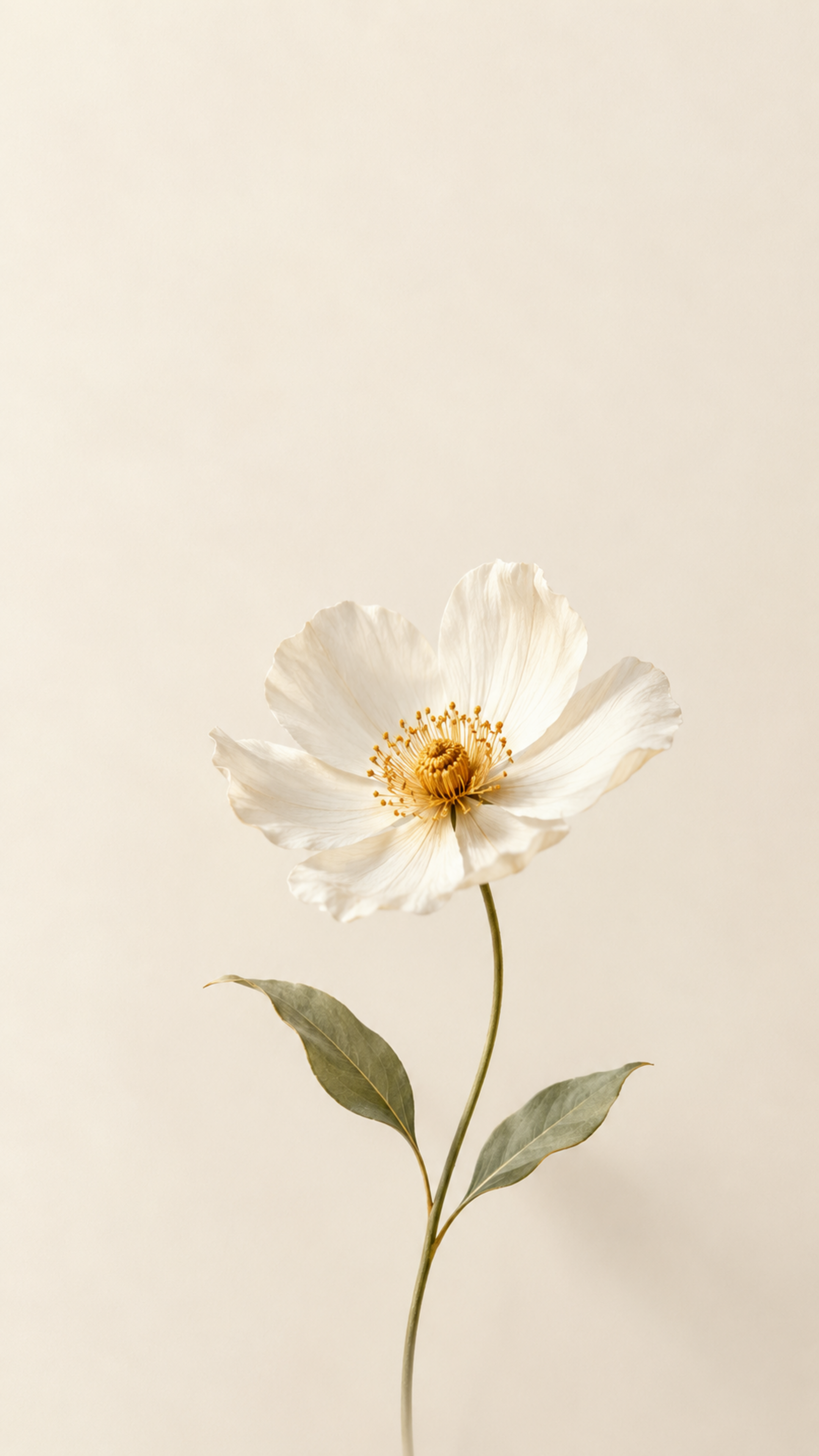 Nature Wallpaper Flowers