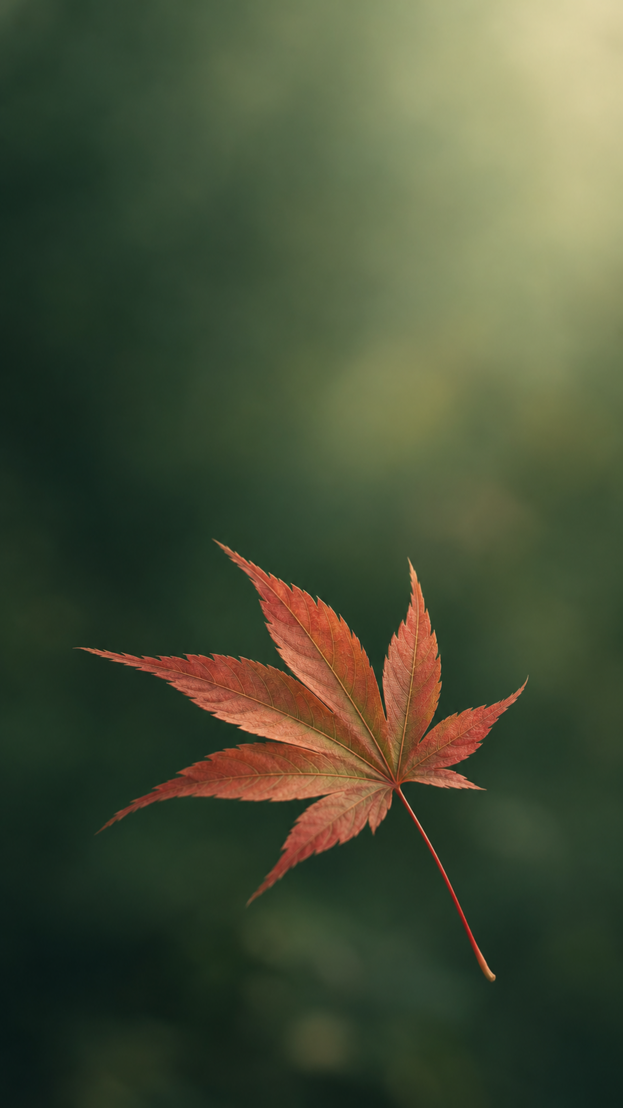 Nature Wallpaper iPhone