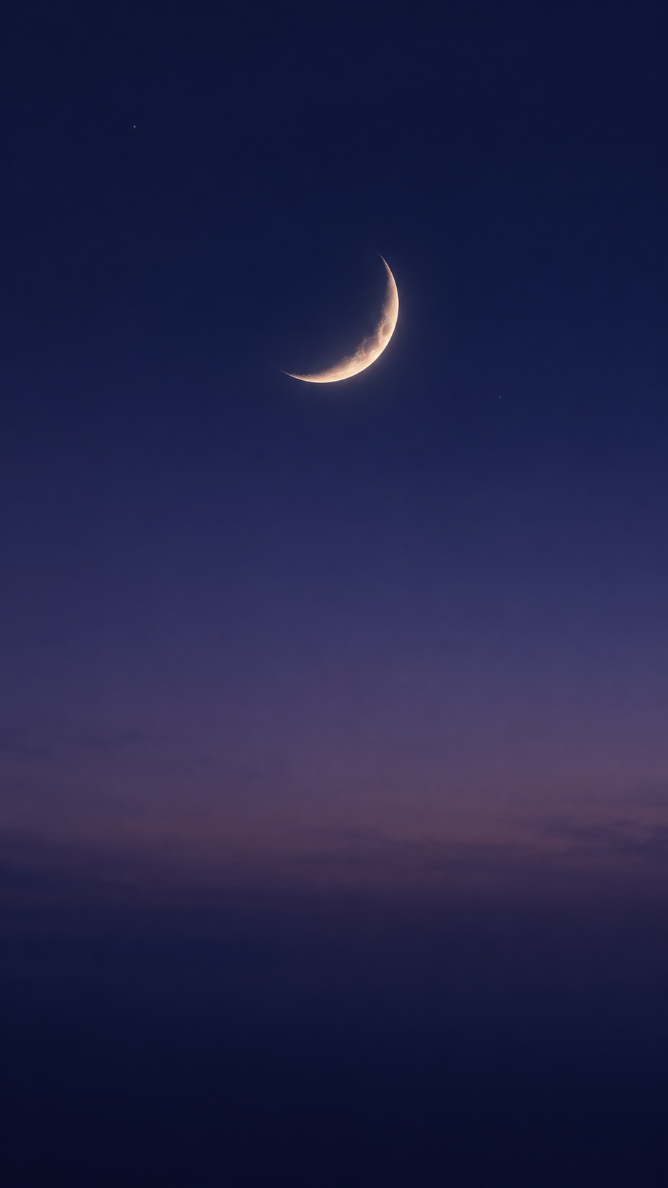 Phone Wallpaper